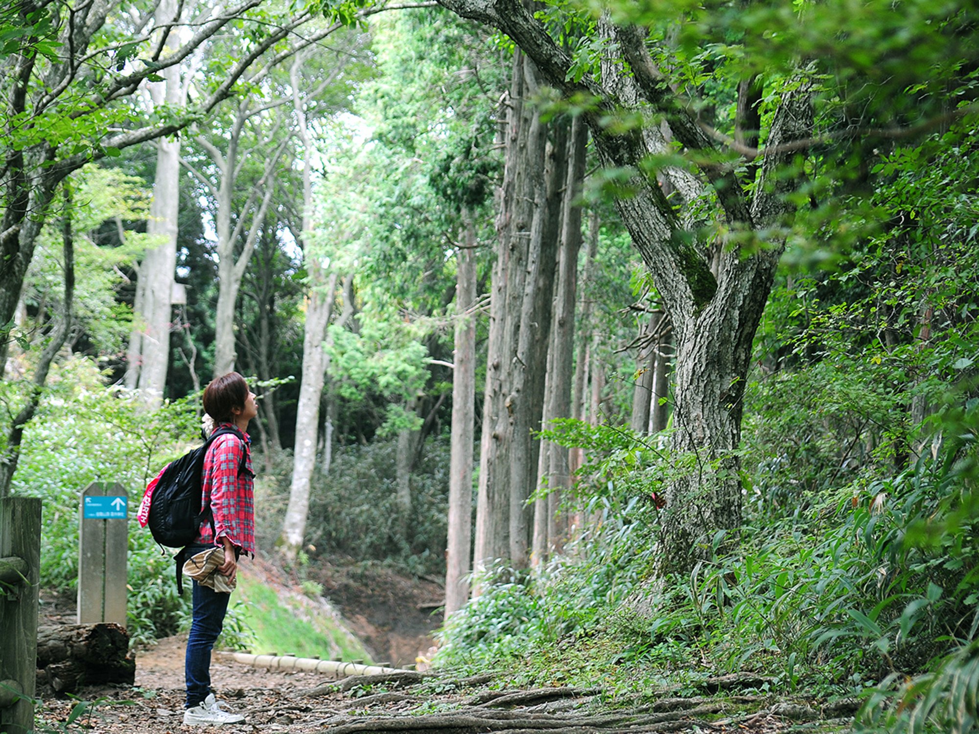 🌳 미네야마 종합공원 (미네야마 소고 코엔) 이미지 3